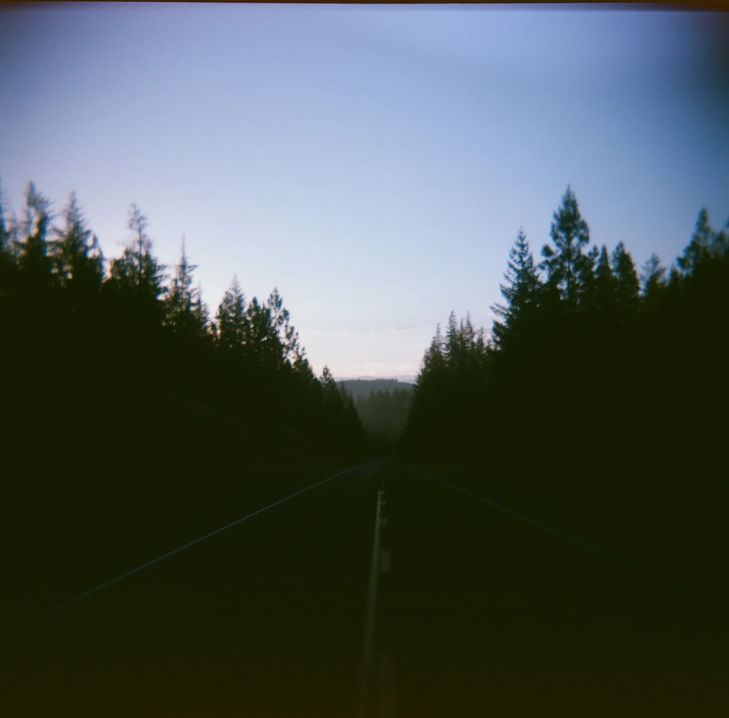 35mm photo looking down a road leading into Yosemite National Park at sunrise